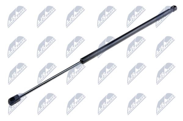 NTY AE-BM-001 Gas Spring, boot-/cargo area AEBM001: Buy near me in Poland at 2407.PL - Good price!
