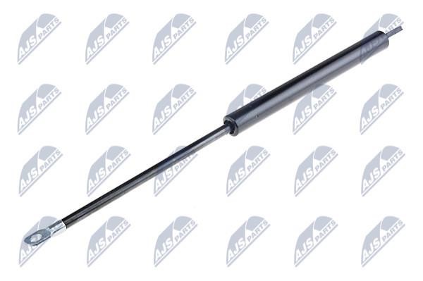 NTY AE-BM-004 Gas Spring, boot-/cargo area AEBM004: Buy near me in Poland at 2407.PL - Good price!
