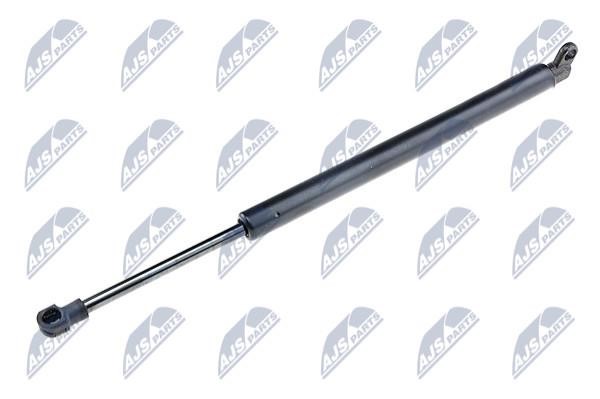 NTY AE-BM-010 Gas Spring, boot-/cargo area AEBM010: Buy near me at 2407.PL in Poland at an Affordable price!