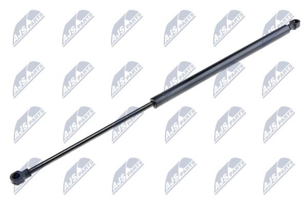 NTY AE-BM-011 Gas Spring, boot-/cargo area AEBM011: Buy near me in Poland at 2407.PL - Good price!
