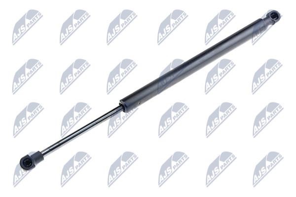 NTY AE-BM-015 Gas Spring, boot-/cargo area AEBM015: Buy near me in Poland at 2407.PL - Good price!