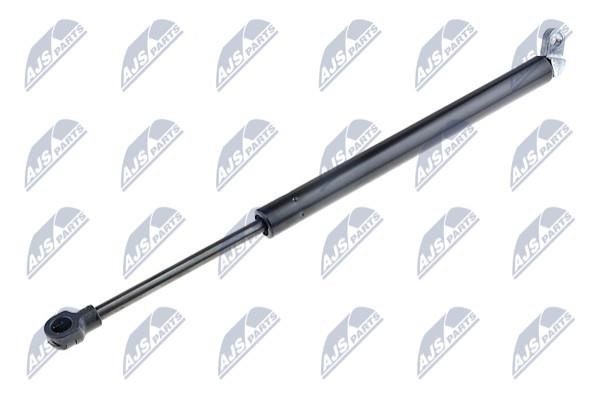 NTY AE-BM-016 Gas Spring, boot-/cargo area AEBM016: Buy near me in Poland at 2407.PL - Good price!