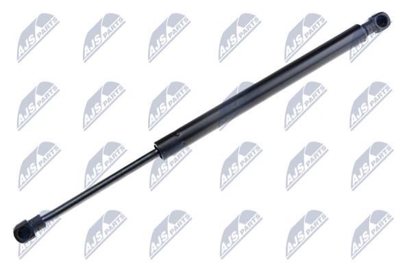 NTY AE-BM-019 Gas Spring, boot-/cargo area AEBM019: Buy near me in Poland at 2407.PL - Good price!