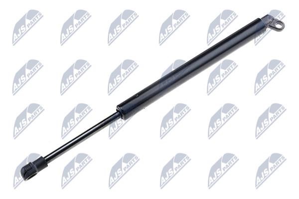 NTY AE-BM-022 Gas Spring, boot-/cargo area AEBM022: Buy near me in Poland at 2407.PL - Good price!