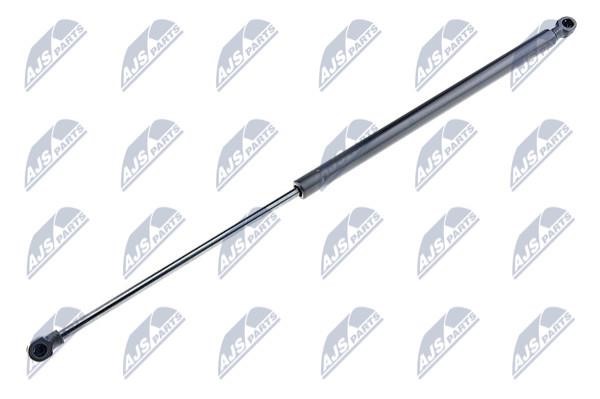 NTY AE-BM-023 Gas Spring, boot-/cargo area AEBM023: Buy near me in Poland at 2407.PL - Good price!