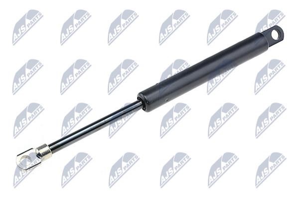 NTY AE-BM-028 Gas hood spring AEBM028: Buy near me at 2407.PL in Poland at an Affordable price!