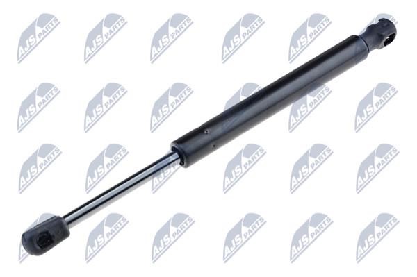 NTY AE-BM-030 Gas Spring, boot-/cargo area AEBM030: Buy near me in Poland at 2407.PL - Good price!