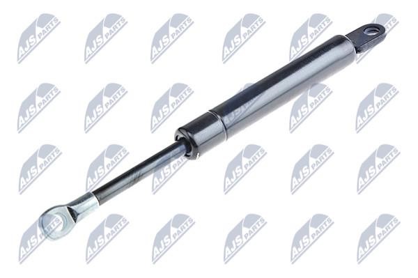 NTY AE-BM-039 Gas Spring, boot-/cargo area AEBM039: Buy near me in Poland at 2407.PL - Good price!