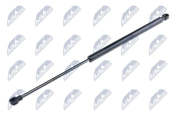 NTY AE-BM-041 Gas Spring, boot-/cargo area AEBM041: Buy near me in Poland at 2407.PL - Good price!
