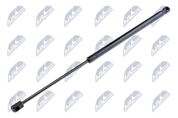 NTY AE-BM-045 Gas Spring, boot-/cargo area AEBM045: Buy near me in Poland at 2407.PL - Good price!