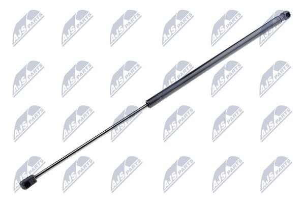 NTY AE-BM-053 Gas Spring, boot-/cargo area AEBM053: Buy near me in Poland at 2407.PL - Good price!