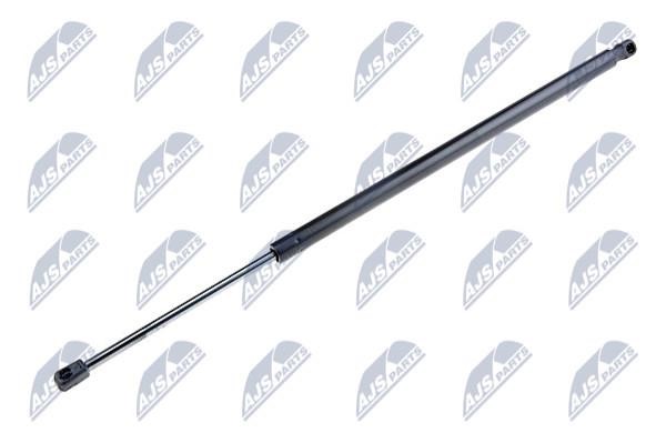 NTY AE-CH-024 Gas Spring, boot-/cargo area AECH024: Buy near me in Poland at 2407.PL - Good price!