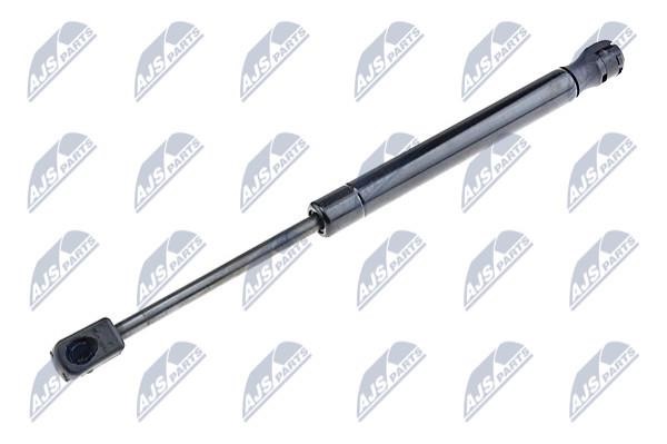 NTY AE-CH-025 Gas Spring, boot-/cargo area AECH025: Buy near me in Poland at 2407.PL - Good price!