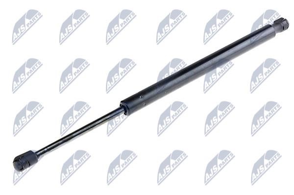 NTY AE-CH-027 Gas Spring, boot-/cargo area AECH027: Buy near me in Poland at 2407.PL - Good price!