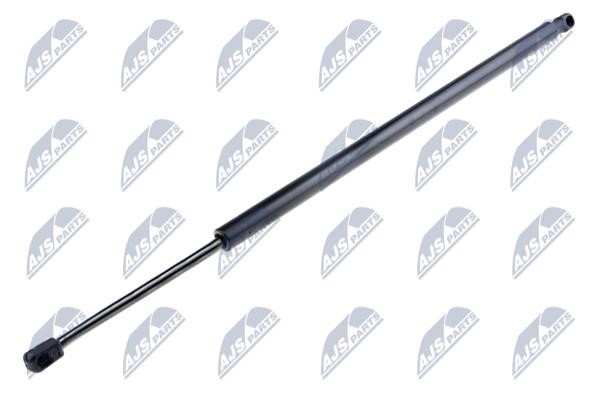 NTY AE-CH-029 Gas Spring, boot-/cargo area AECH029: Buy near me in Poland at 2407.PL - Good price!
