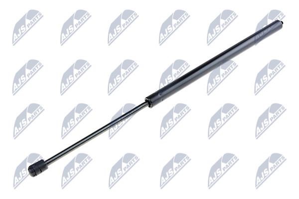 NTY AE-CH-031 Gas Spring, boot-/cargo area AECH031: Buy near me in Poland at 2407.PL - Good price!