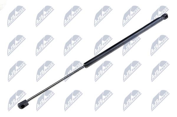 NTY AE-CT-004 Gas Spring, boot-/cargo area AECT004: Buy near me in Poland at 2407.PL - Good price!