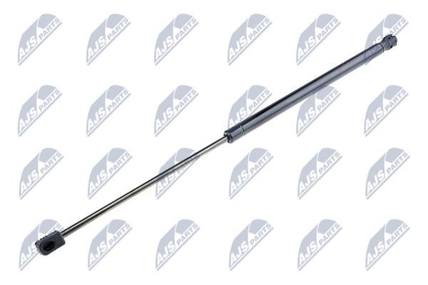 NTY AE-CT-005 Spring gas rear window AECT005: Buy near me in Poland at 2407.PL - Good price!