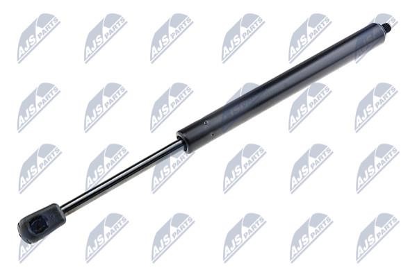 NTY AE-CT-008 Gas Spring, boot-/cargo area AECT008: Buy near me in Poland at 2407.PL - Good price!