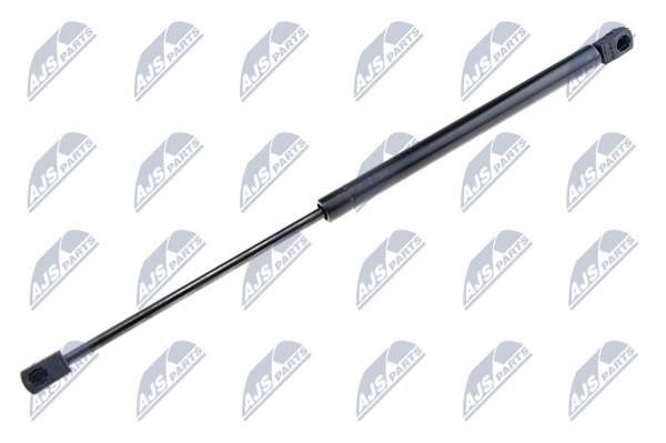 NTY AE-CT-013 Gas Spring, boot-/cargo area AECT013: Buy near me in Poland at 2407.PL - Good price!