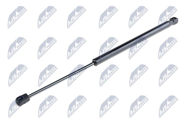 NTY AE-CT-014 Gas Spring, boot-/cargo area AECT014: Buy near me in Poland at 2407.PL - Good price!