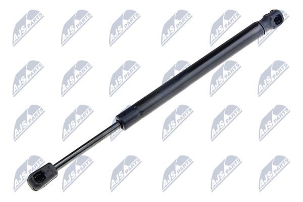 NTY AE-CT-015 Gas Spring, boot-/cargo area AECT015: Buy near me in Poland at 2407.PL - Good price!