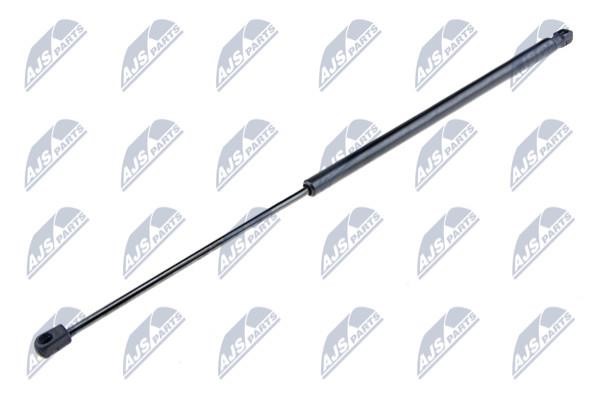 NTY AE-CT-018 Gas Spring, boot-/cargo area AECT018: Buy near me in Poland at 2407.PL - Good price!
