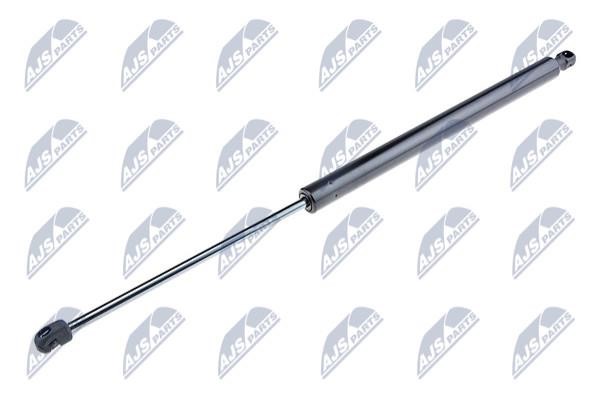 NTY AE-CT-019 Gas Spring, boot-/cargo area AECT019: Buy near me in Poland at 2407.PL - Good price!
