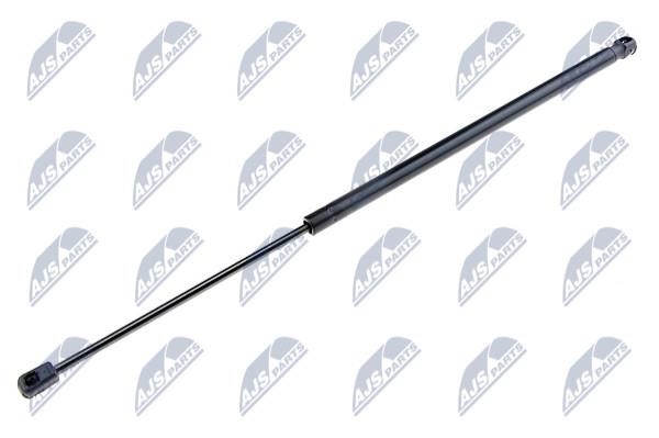 NTY AE-CT-020 Gas Spring, boot-/cargo area AECT020: Buy near me in Poland at 2407.PL - Good price!