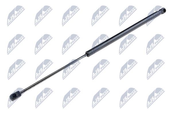 NTY AE-CT-025 Gas Spring, boot-/cargo area AECT025: Buy near me in Poland at 2407.PL - Good price!