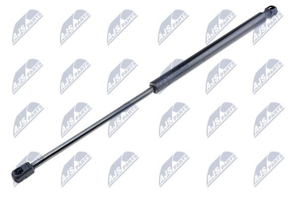 NTY AE-CT-031 Gas Spring, boot-/cargo area AECT031: Buy near me in Poland at 2407.PL - Good price!