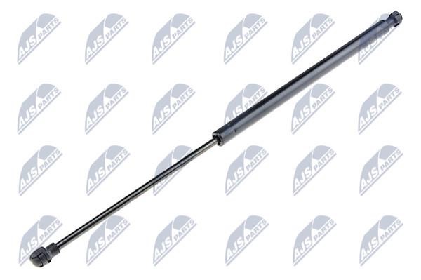 NTY AE-CT-035 Spring gas rear window AECT035: Buy near me in Poland at 2407.PL - Good price!