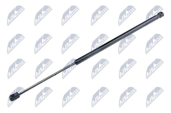 NTY AE-CT-037 Gas Spring, boot-/cargo area AECT037: Buy near me in Poland at 2407.PL - Good price!
