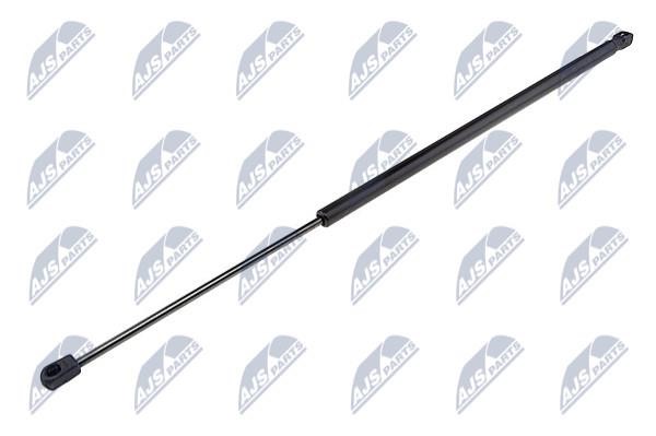 NTY AE-CT-040 Gas Spring, boot-/cargo area AECT040: Buy near me in Poland at 2407.PL - Good price!