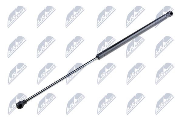 NTY AE-CT-041 Spring gas rear window AECT041: Buy near me in Poland at 2407.PL - Good price!