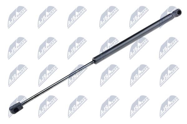 NTY AE-CT-042 Gas Spring, boot-/cargo area AECT042: Buy near me in Poland at 2407.PL - Good price!
