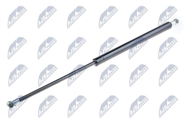 NTY AE-DW-000 Gas Spring, boot-/cargo area AEDW000: Buy near me in Poland at 2407.PL - Good price!