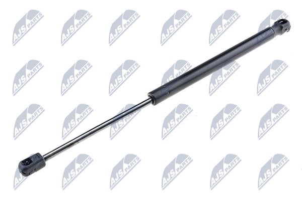 NTY AE-DW-001 Gas Spring, boot-/cargo area AEDW001: Buy near me at 2407.PL in Poland at an Affordable price!