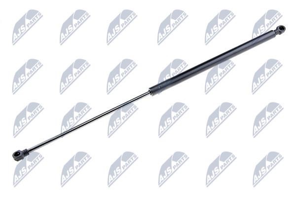 NTY AE-DW-002 Gas Spring, boot-/cargo area AEDW002: Buy near me at 2407.PL in Poland at an Affordable price!