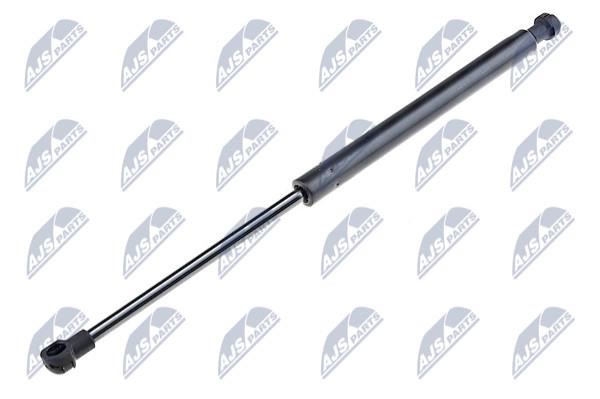 NTY AE-DW-004 Gas Spring, boot-/cargo area AEDW004: Buy near me in Poland at 2407.PL - Good price!
