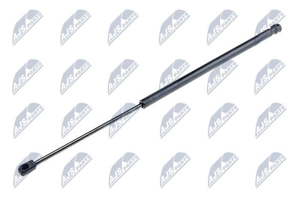 NTY AE-DW-005 Gas Spring, boot-/cargo area AEDW005: Buy near me in Poland at 2407.PL - Good price!
