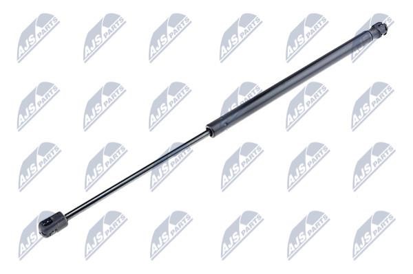 NTY AE-DW-006 Gas Spring, boot-/cargo area AEDW006: Buy near me in Poland at 2407.PL - Good price!