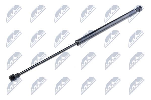 NTY AE-DW-010 Gas Spring, boot-/cargo area AEDW010: Buy near me in Poland at 2407.PL - Good price!