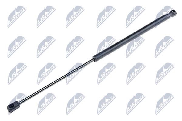 NTY AE-DW-014 Gas Spring, boot-/cargo area AEDW014: Buy near me in Poland at 2407.PL - Good price!