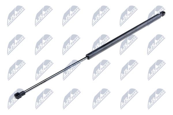 NTY AE-FR-001 Gas Spring, boot-/cargo area AEFR001: Buy near me at 2407.PL in Poland at an Affordable price!