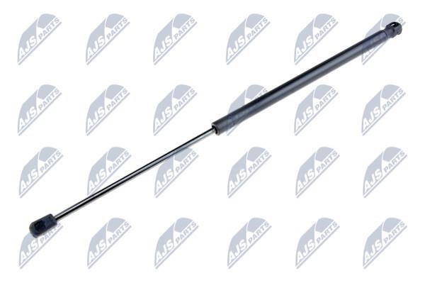 NTY AE-FR-002 Gas Spring, boot-/cargo area AEFR002: Buy near me in Poland at 2407.PL - Good price!