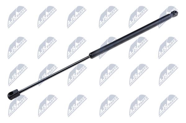 NTY AE-FR-008 Gas Spring, boot-/cargo area AEFR008: Buy near me in Poland at 2407.PL - Good price!