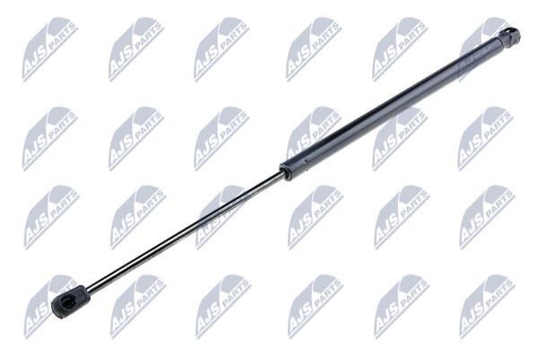 NTY AE-FR-009 Gas Spring, boot-/cargo area AEFR009: Buy near me in Poland at 2407.PL - Good price!