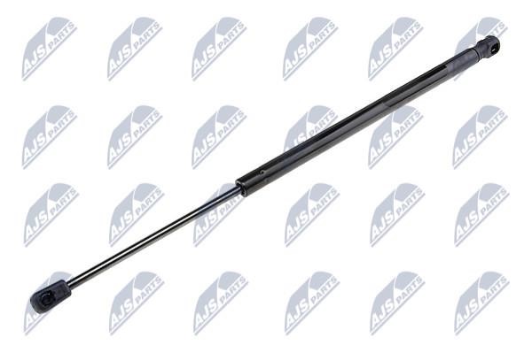 NTY AE-FR-015 Gas Spring, boot-/cargo area AEFR015: Buy near me in Poland at 2407.PL - Good price!