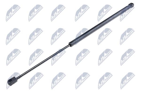 NTY AE-FR-018 Gas Spring, boot-/cargo area AEFR018: Buy near me in Poland at 2407.PL - Good price!